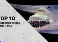 Top 10 mysterious things in the world