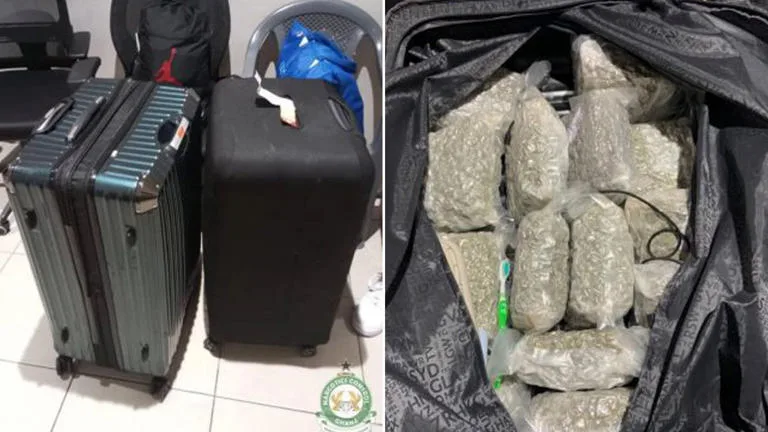 British Woman Arrested for Smuggling £170K Cannabis